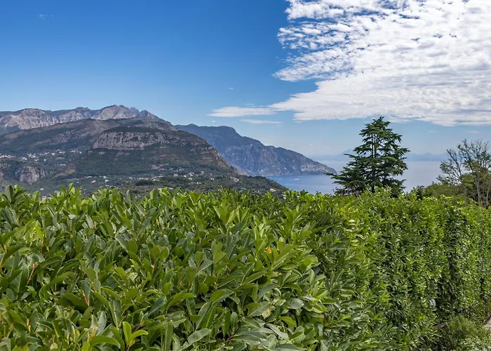 Hotel Prestige Sorrento